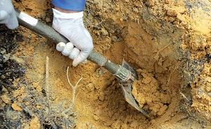 Prelevement chemin de fer