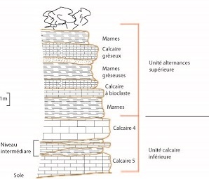 coupe litho série conniquet